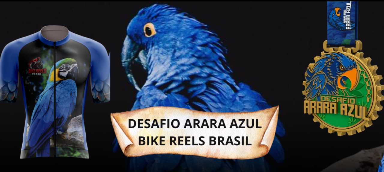 imagem de capa do evento